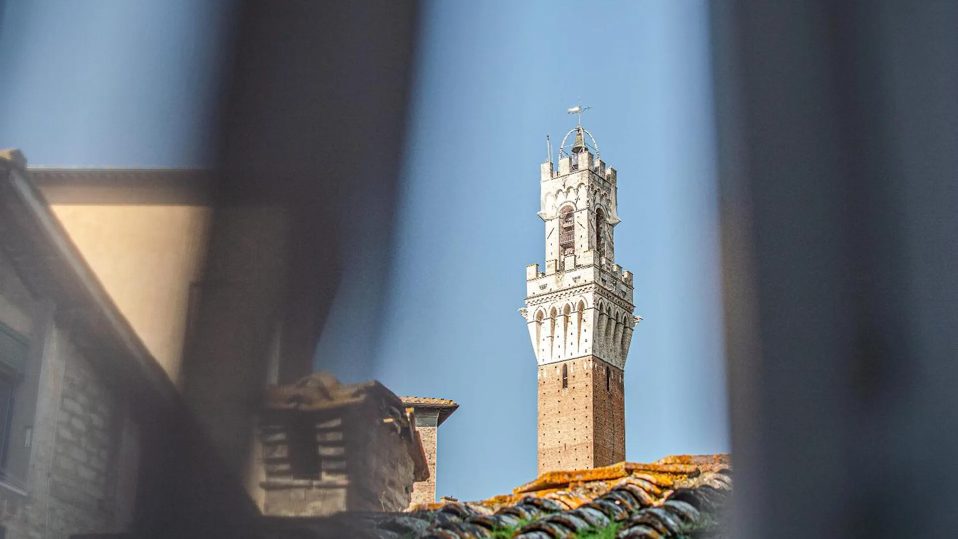 Lejlighed Rose - Appartamento In Centro Storico Con Balcone Con Vista Siena